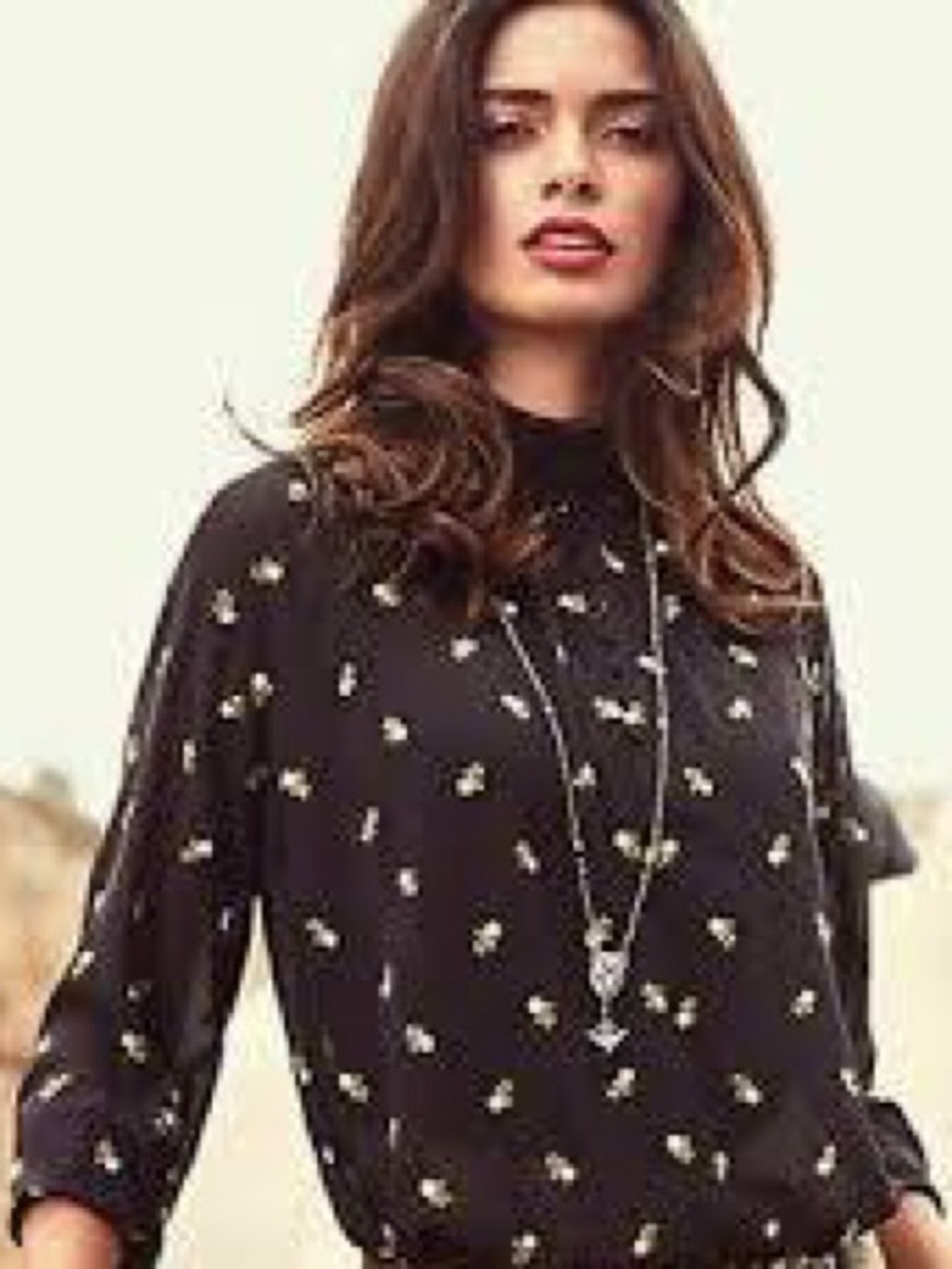 CAbi Algeria Embroidered Blouse Black Floral Sheer Boho Oversized Top Small